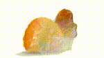 冚街橙 | Those oranges you cannot eat - 3D scan