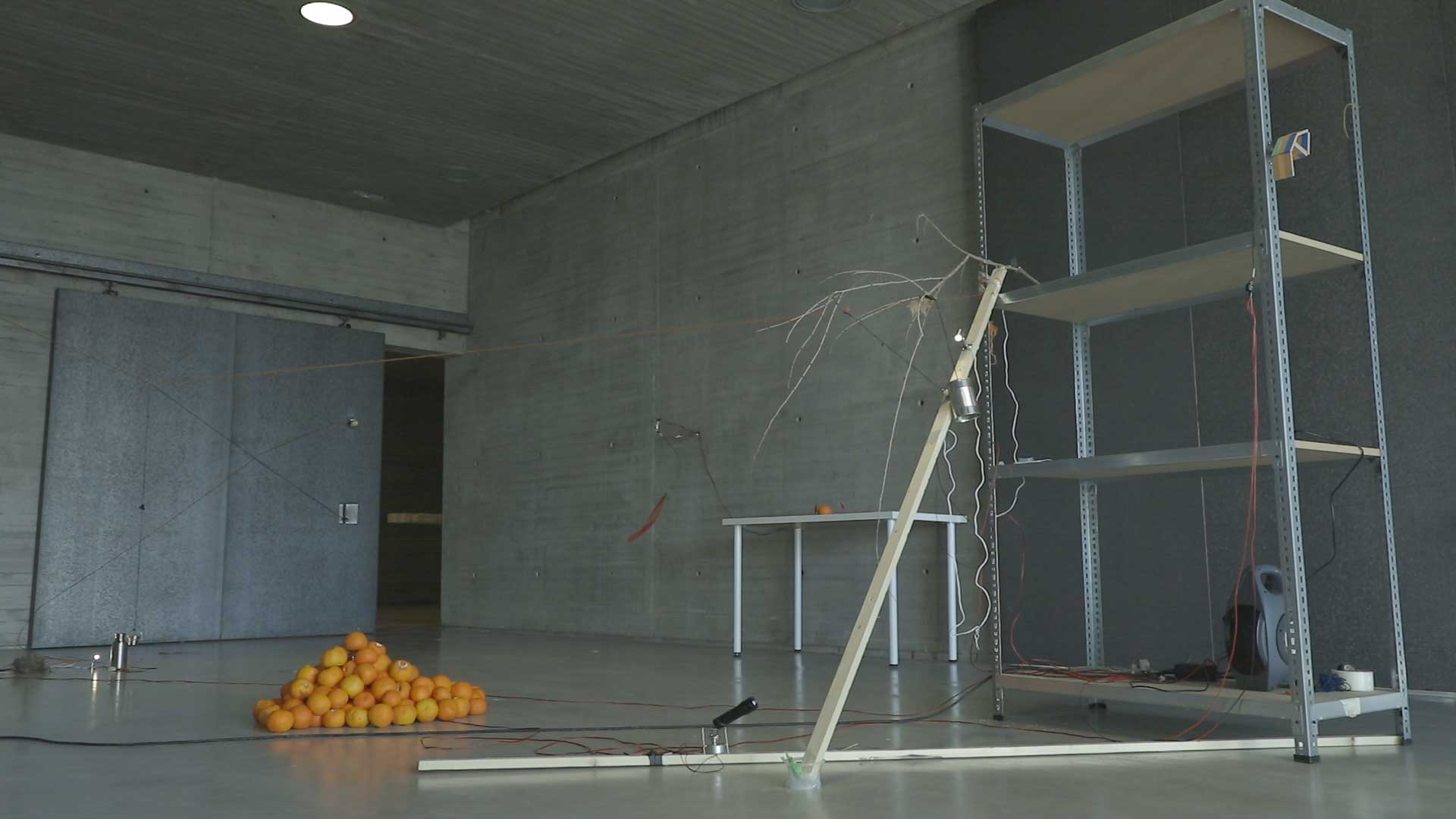 冚街橙 | Those oranges you cannot eat