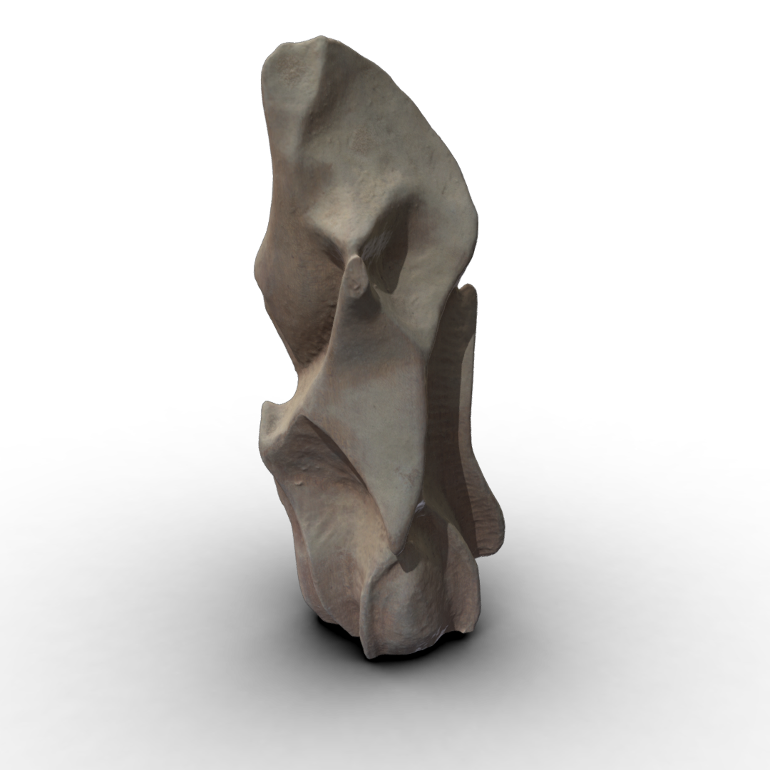 Asparagus head wood carving - Image 1