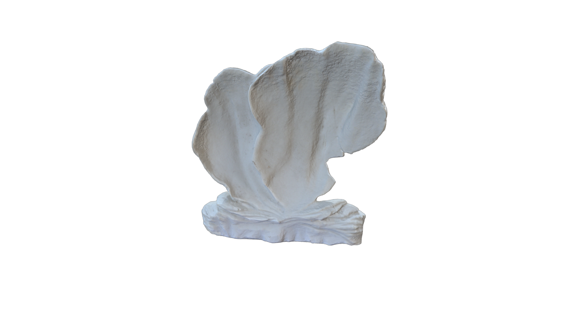 Kombu stone - Image 1