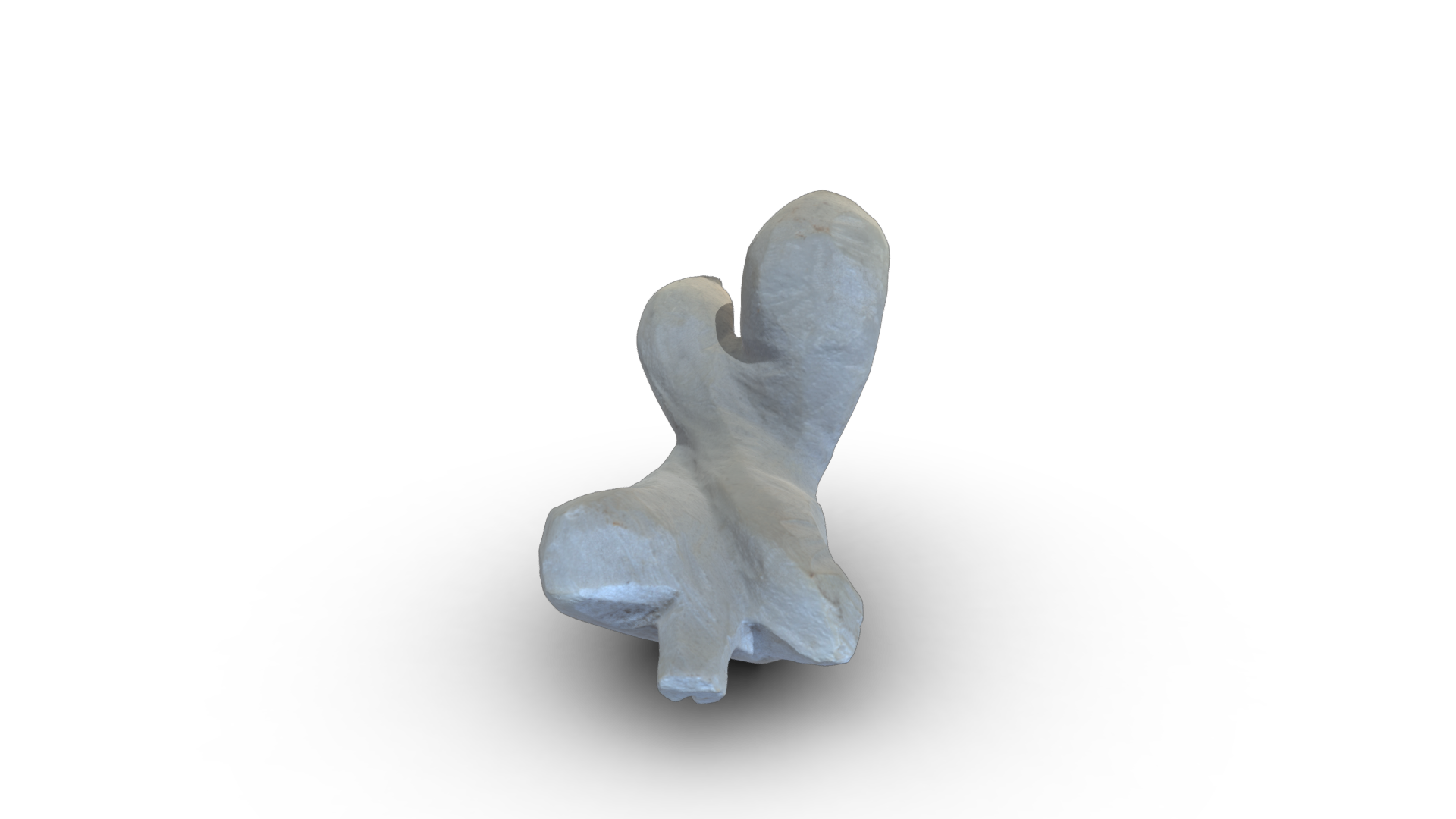 flower and pork - Image 1